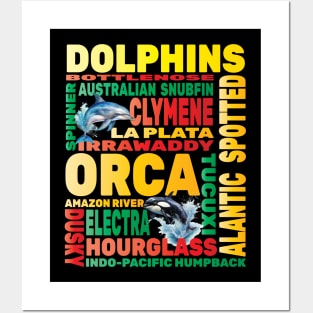 Dolphins Aquarium Hobbyist Ocean Marine Biology Biologist Posters and Art